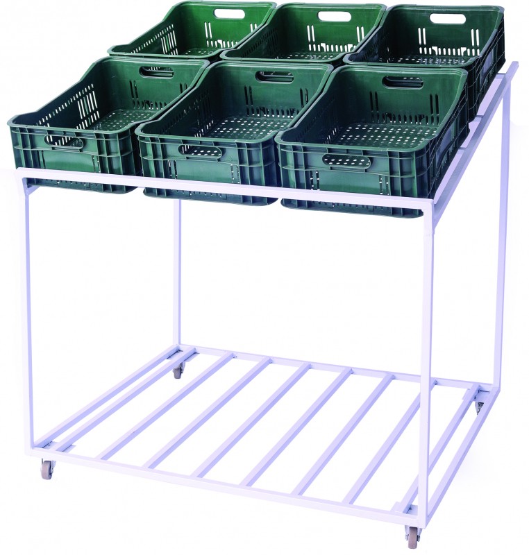 Fruteira Central Plus