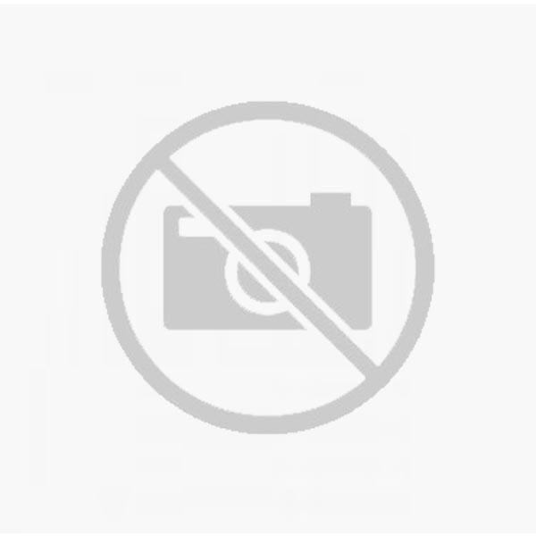 Forno Refratário Com Infra Vermelho Inox PRPI-800kg G2 Progás