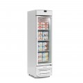 CONSERVADOR VERTICAL - 220v GLDF-315 LP BR